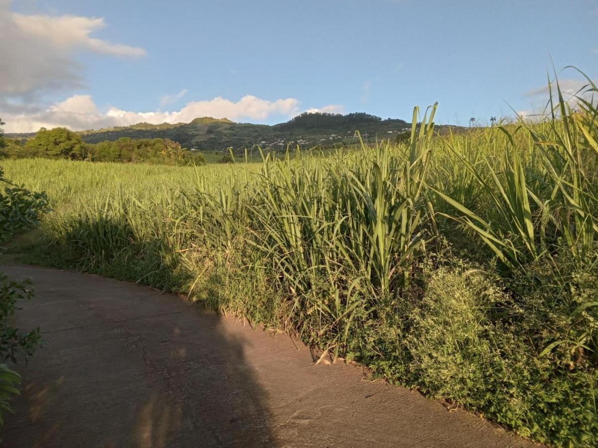 فيلا Le Jardin سان لوي المظهر الخارجي الصورة