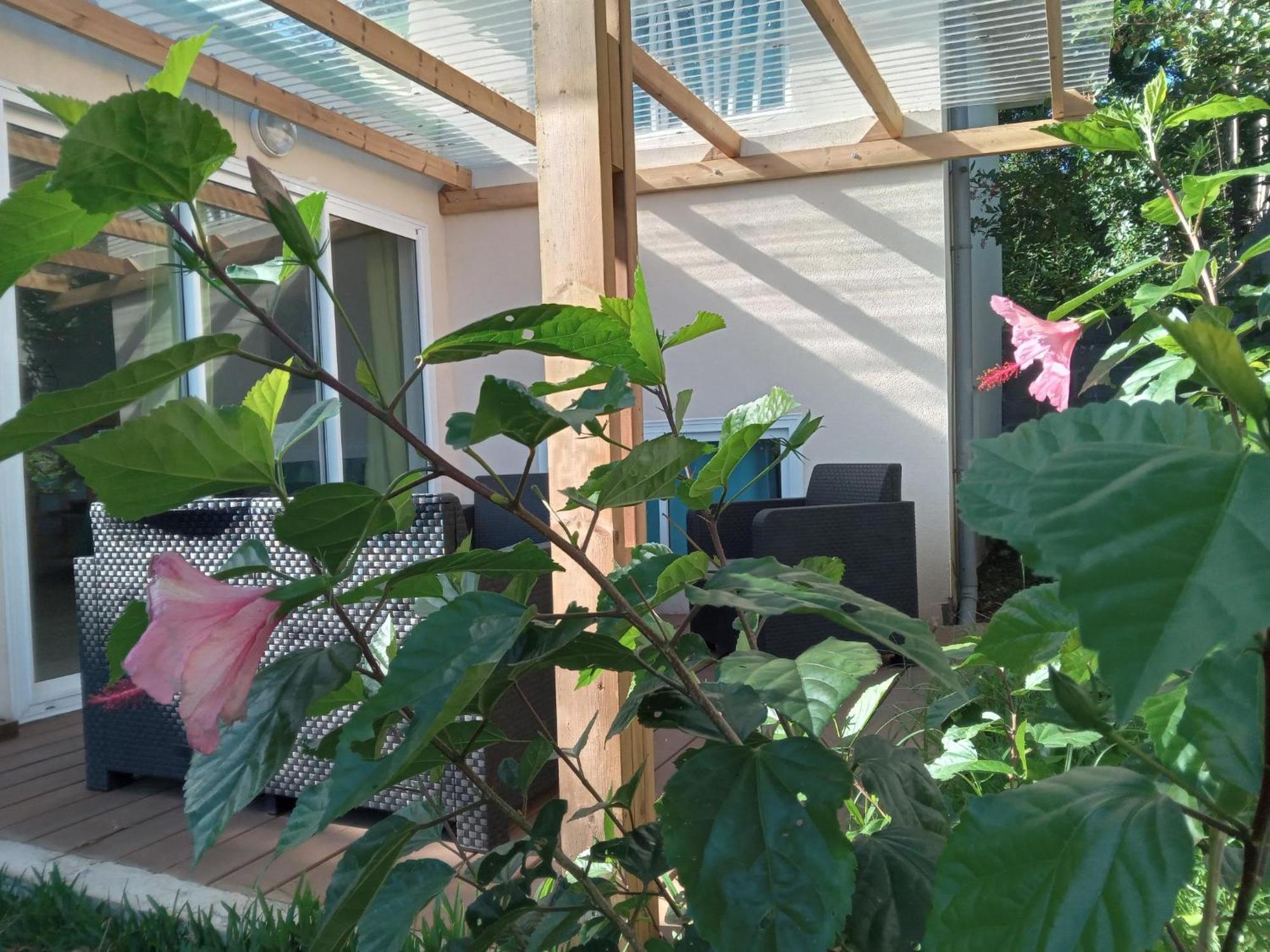 فيلا Le Jardin سان لوي المظهر الخارجي الصورة